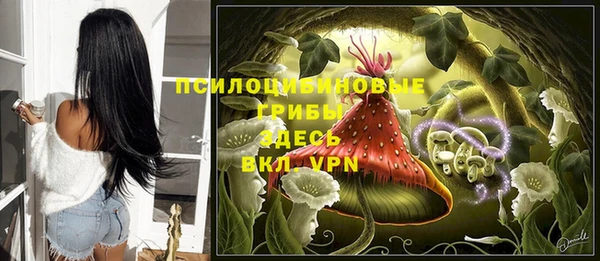 крисы Верхнеуральск