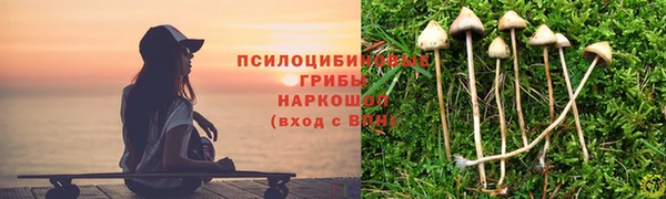 крисы Верхнеуральск